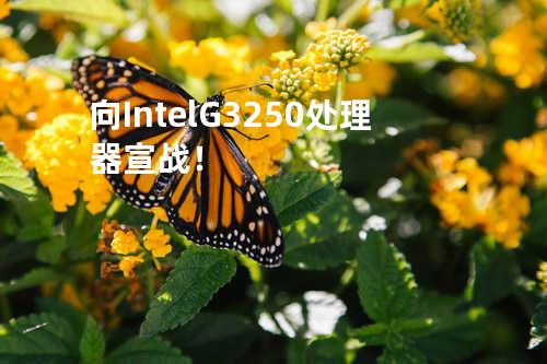 向Intel G3250处理器宣战！