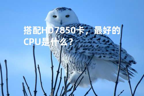 搭配HD7850卡，最好的CPU是什么？