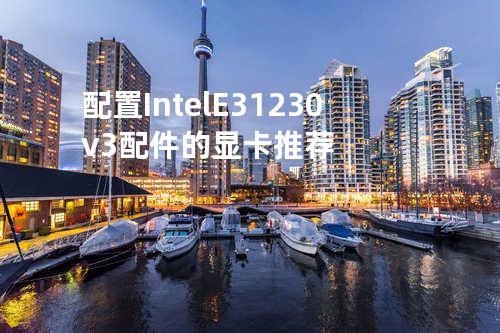 配置Intel E3 1230 v3配件的显卡推荐