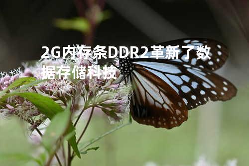 2G内存条DDR2革新了数据存储科技