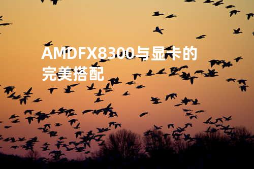 AMD FX8300与显卡的完美搭配