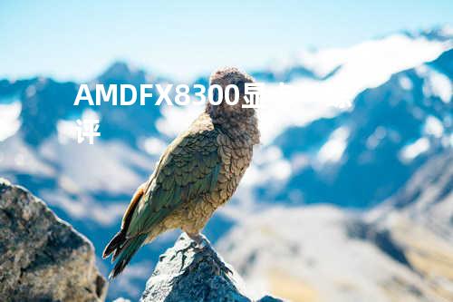  AMD FX8300 显卡一综评