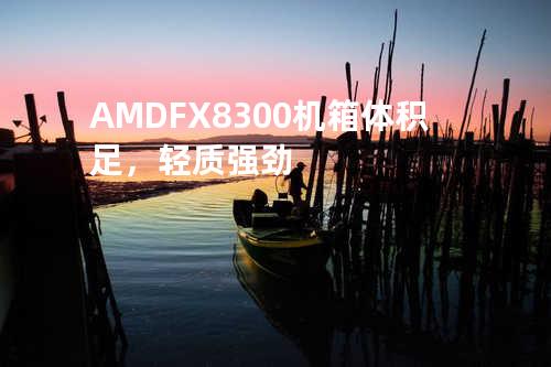 AMD FX8300机箱-体积足，轻质强劲