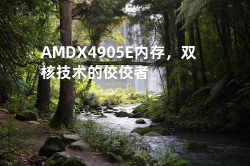 AMD X4 905E 内存，双核技术的佼佼者