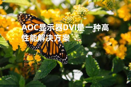 AOC显示器DVI是一种高性能解决方案