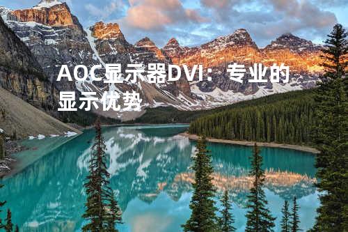 AOC显示器DVI：专业的显示优势