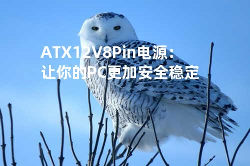 ATX 12V 8Pin 电源：让你的PC更加安全稳定