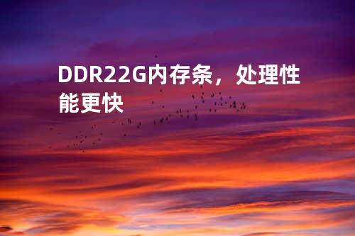 DDR2 2G内存条，处理性能更快