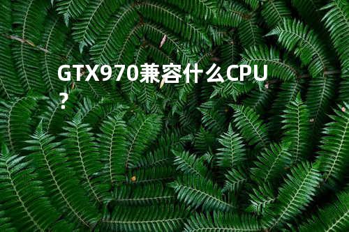 GTX 970 兼容什么CPU？