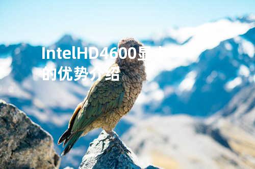 Intel HD4600显卡的优势介绍